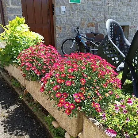 Romantico Acogedor En