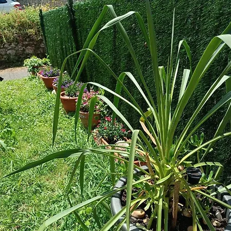 Romantico Acogedor En Appartement Llanes