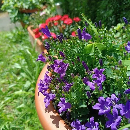 Romantico Acogedor En * 라네스