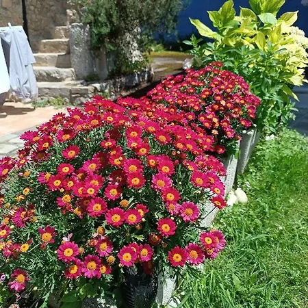 Romantico Acogedor En 라네스